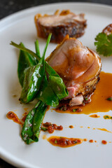 Exquisite suckling pig dish of modern French haute cuisine prepared with fresh organic ingredients from restaurant own garden and farm and beautifully served