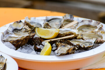 Fresh french Gillardeau oysters molluscs shucked on ice with lemon ready to eat close up