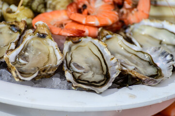 Fresh french Gillardeau oysters molluscs shucked on ice with shells, shrimps, lemon ready to eat close up
