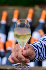 Tasting of sparkling white wine with bubbles champagne on summer festival route of champagne in Cote des Bar, Champagne region, France
