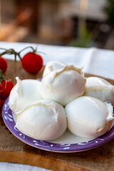 White balls of Italian soft cheese Mozzarella di Bufala Campana served with fresh green basil and red sicilian tomatoes