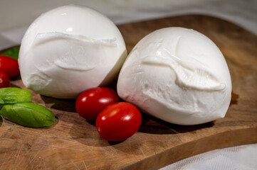 Two white balls of Italian soft cheese Mozzarella di Bufala Campana served with fresh green basil and red sicilian tomatoes