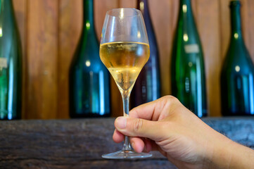 Tasting of sparkling white wine with bubbles champagne on summer festival route of champagne in Cote des Bar, Champagne region, France