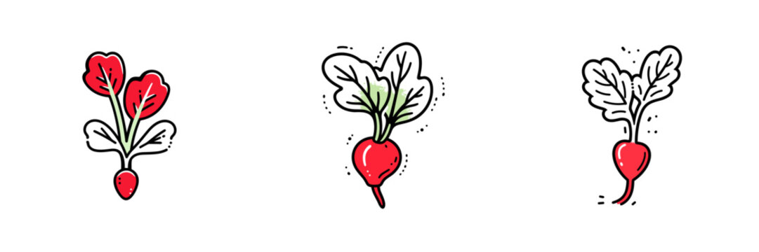 Radish microgreen set of vector icons in minimalistic, black and red line work, japan web, icons pack
