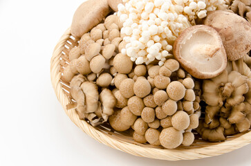 秋の味覚きのこ盛り合わせ