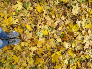 Photo autumn foliage background top view with girl's legs.