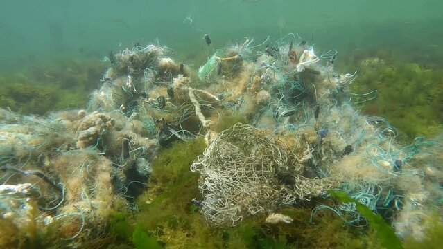 Lost fishing net lies on seabed in green algae Ulva in sun glare on shallow water in Black sea, Slow motion. Ghost gear, fishing gear that has been abandoned, lost or otherwise discarded