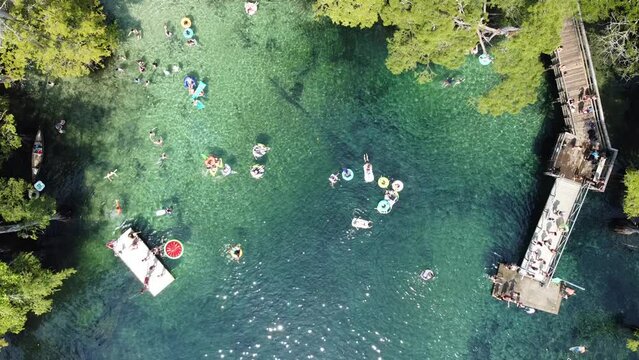 90-degree aerial view people jumping off the deck, swimming, floating to magnitude turquoise blue water of Morrison Springs County Park in Walton County, Florida