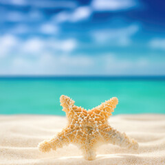 Fototapeta na wymiar Starfish on the sand on the beach