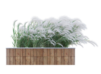  white fluffy grass in circle wood planter