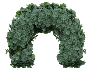 plant arch