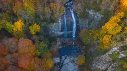 Autumn colors. Colorful image of tree leaves in autumn.
