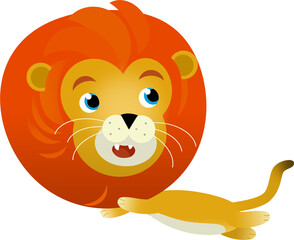 Obraz premium cartoon scene with happy cat lion on white background - safari illustration for children