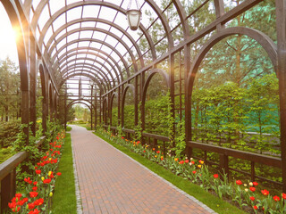 Landscape design. Park architecture. Summer landscape.