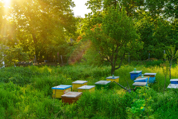 Bee hives. Background with selective focus and copy space