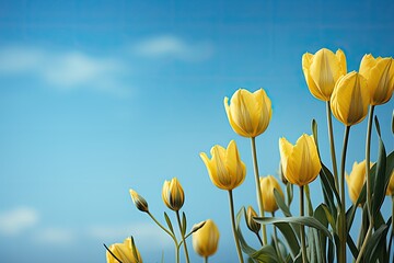 Obraz premium spring tulips background with space