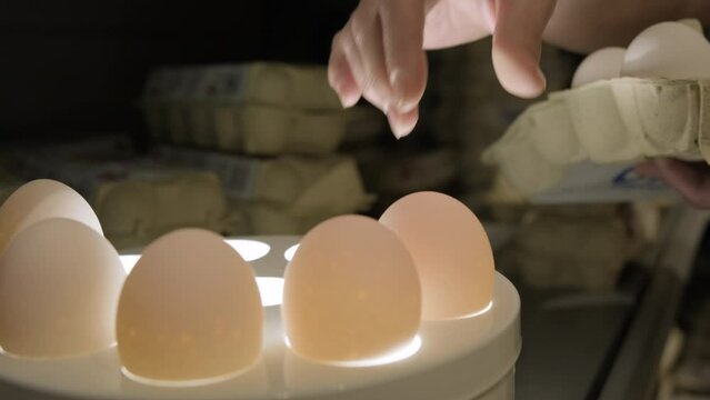 Checking chicken eggs for freshness in supermarket on ovoscope before buying. 