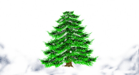 spruce tree in winter with snow isolated on white