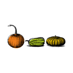 pumpkin isolated on white background