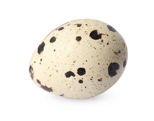 One speckled quail egg isolated on white