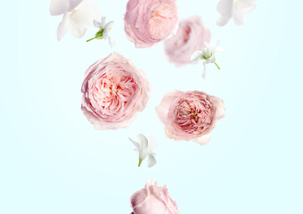 Different beautiful flowers falling on light background