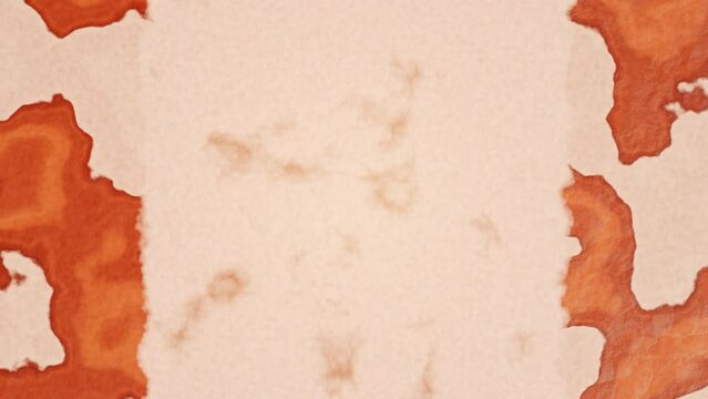 ancient map texture Searching for treasure. old map lines Pirate maritime voyage. For treasure map background image concept. 3D Rendering