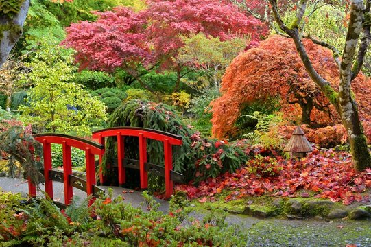 Autumn Colors at Butchart Gardens, Victoria, BC, Canada