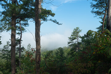 Fototapeta na wymiar Foggy morning view from a mountain top