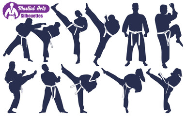 Martial Art or karate Silhouettes Vector illustration © JerinChowdhury