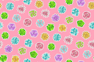 Succulent houseplant seamless pattern. Tropical home plant boundless background. Succulents desert flower summer botanical endless design for paper print, fabric textile, wrapper backdrop template