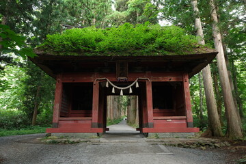 森の中の神社。随神門。戸隠。