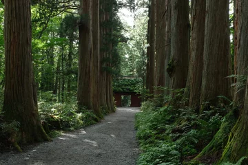 Keuken spatwand met foto 森の中の神社。戸隠。 © Chasou_pics
