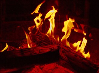 Fire Burning on Logs