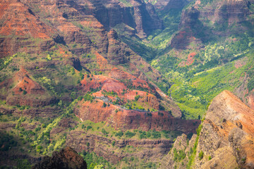 Fototapeta premium Waimea Canyon State Park, Kauai Hawaii