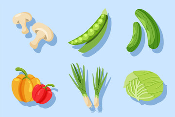 Set Collection of Vegetable Element