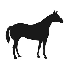 Vector a horse silhouette is shown against a white background