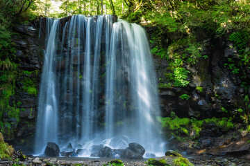 waterfall in the forest