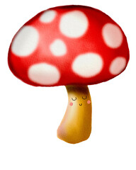 amanita muscaria mushroom