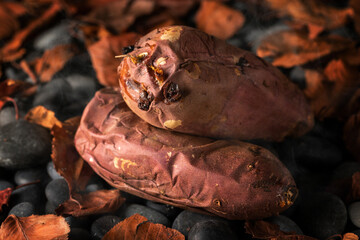 熱々、ほっくほくの石焼芋