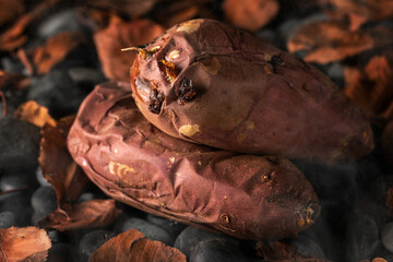 熱々、ほっくほくの石焼芋