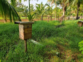 Apiculture Honeybee box in the field
