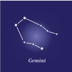 Horoscope star icon ,constellation zodiac flat style logo template