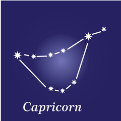 Horoscope star icon ,constellation zodiac flat style logo template