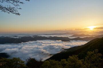 野迫川村の雲海