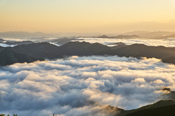 野迫川村の雲海