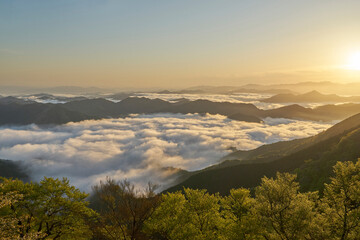 野迫川村の雲海