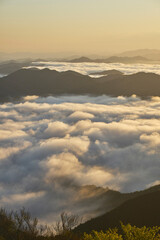 野迫川村の雲海