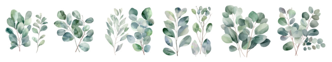 Set of Eucalyptus watercolro clipart collection. Green plant collection isolated background. Wedding, stationary, greetings, green leaf, olive, fashion, cloth, background, design. vector illustrator © Pixel Park