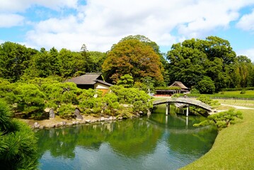 Landscape in The Traditional Japanese Garden (Korakuen)