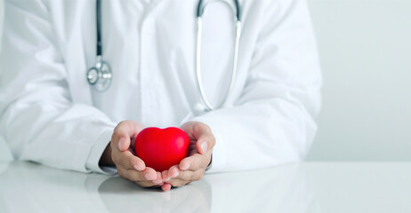 The doctor's Hands holding a red heart. The concept for charity, health insurance, love, support, International Cardiology Day.World Heart Day.World Health Day.